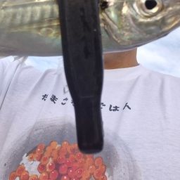 アジ