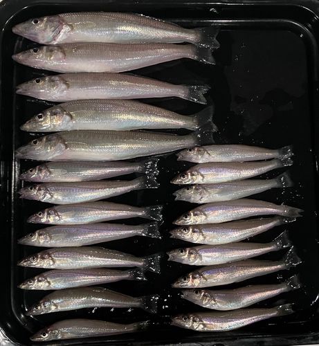 高洲海浜公園