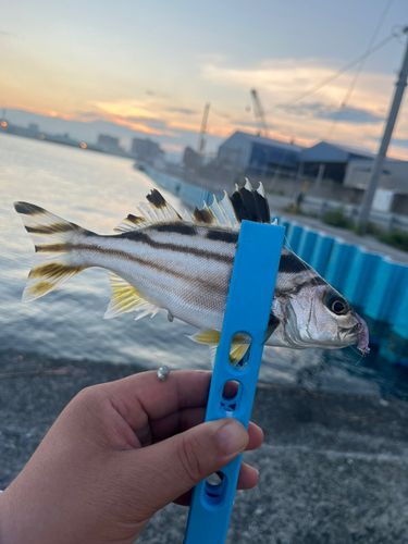 清水港