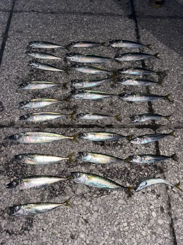 石狩湾新港