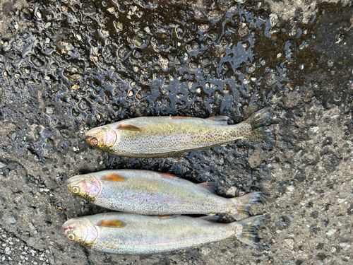さっぽろ湖