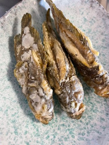 播磨灘