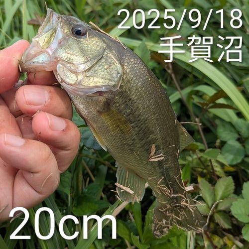 手賀川