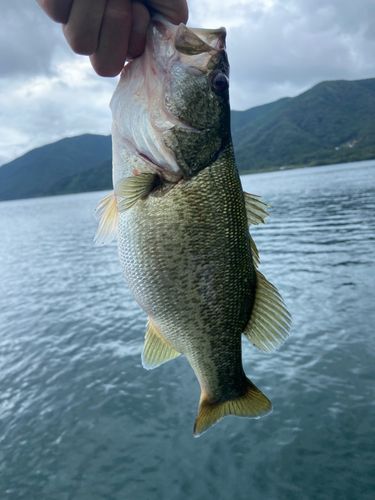 海津