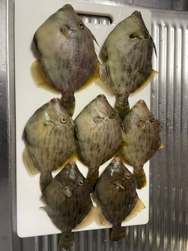 三本松港