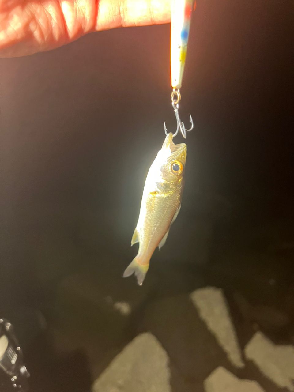 SHIMANO 20ルナミス S86MLの最安値・インプレ・釣果 | 本音の口コミが