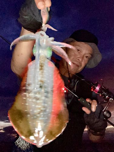 知多湾