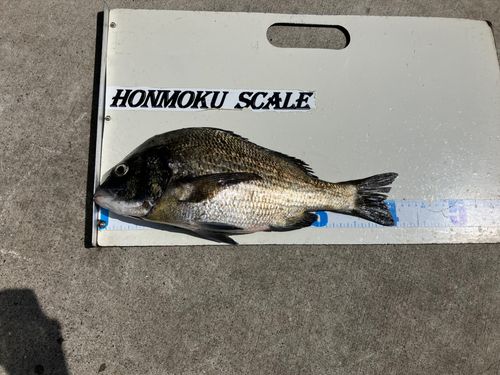 本牧海づり施設