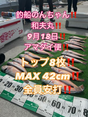 シロアマダイの釣果