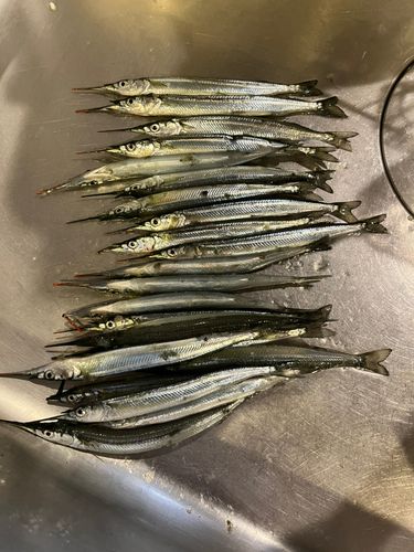 鳴尾浜臨海公園海づり広場
