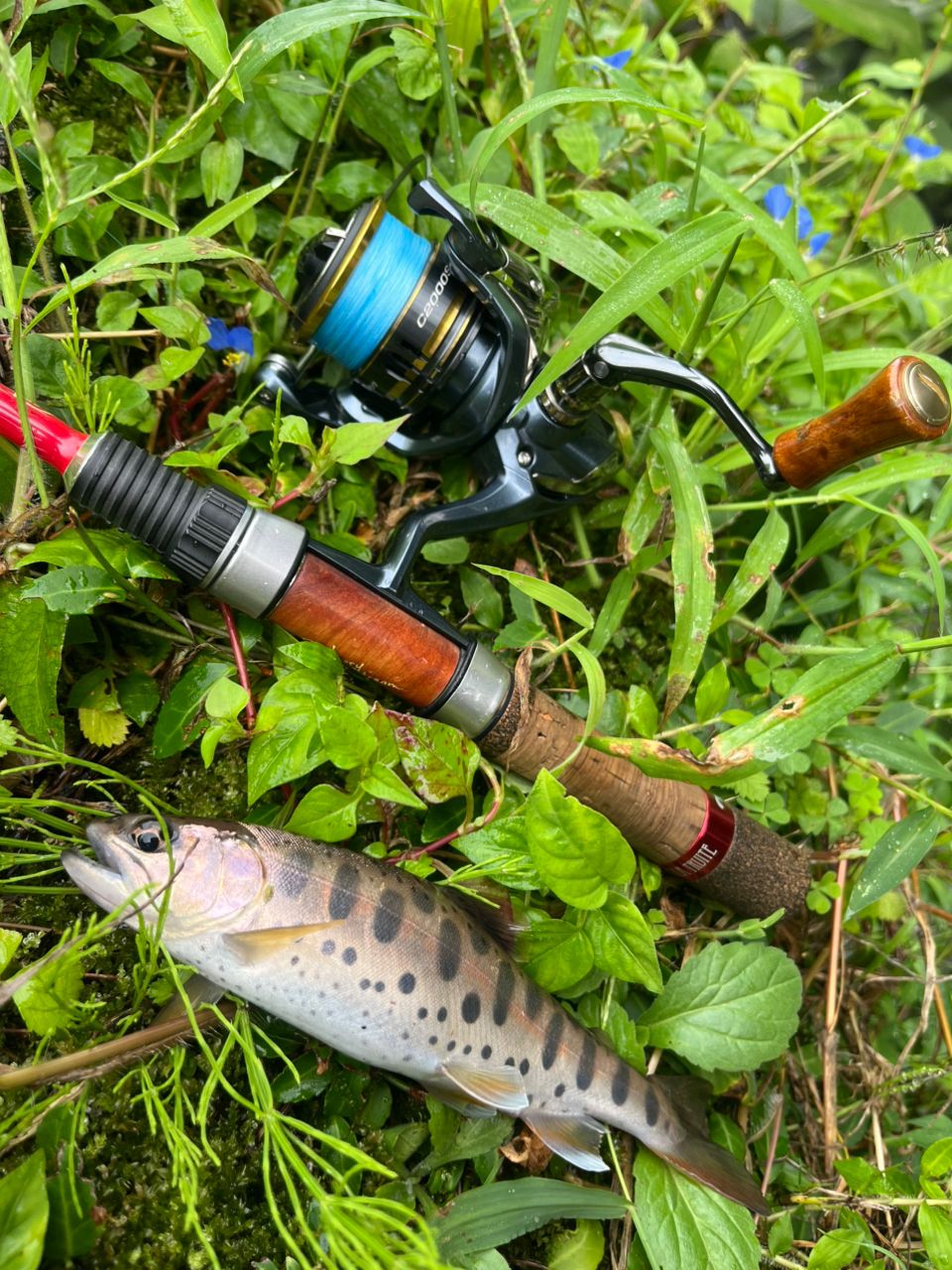 TULALA 22トリュテ Sorcier52ULの最安値・インプレ・釣果 | 本音の