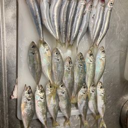 アジ
