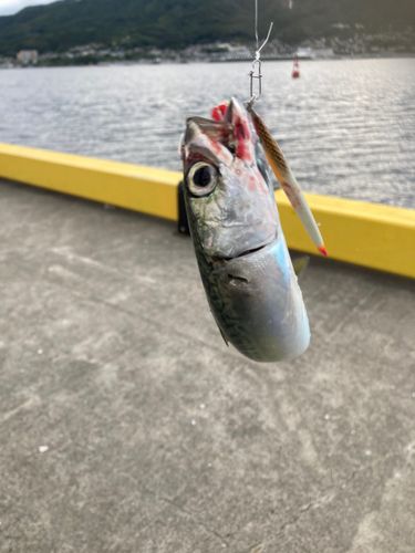 大船渡湾