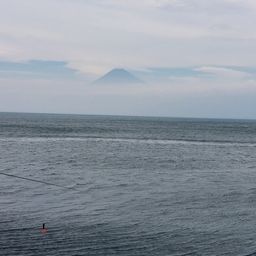 ワカシ