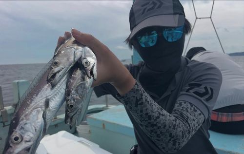 タチウオの釣果