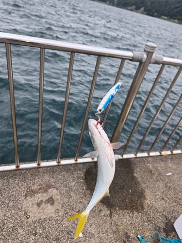 鞠山海遊パーク