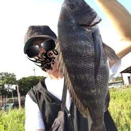 クロダイ