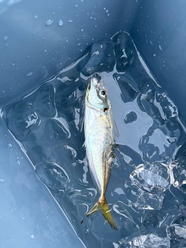 小名浜港アクアマリンふくしま周辺