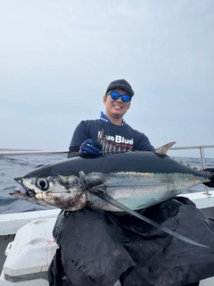 ビンチョウマグロの釣果