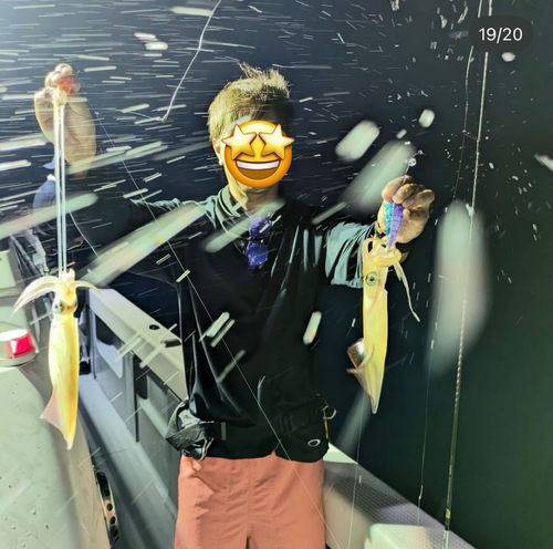 ケンサキイカの釣果