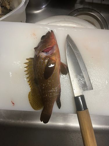 七尾南湾