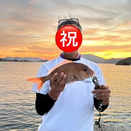 マダイ