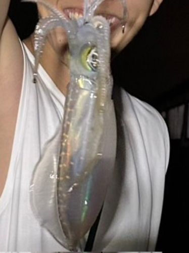 大阪湾