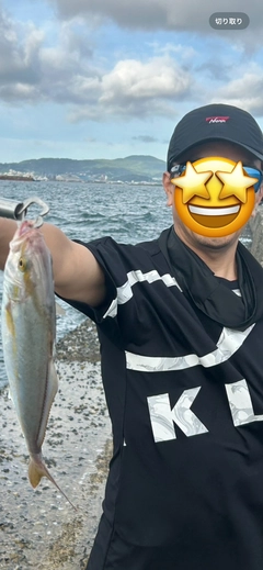 ネリゴの釣果