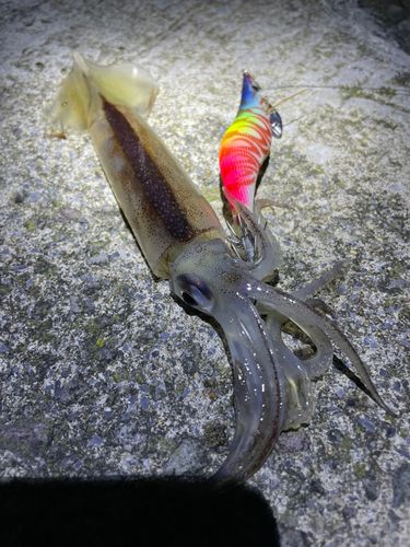 津軽海峡