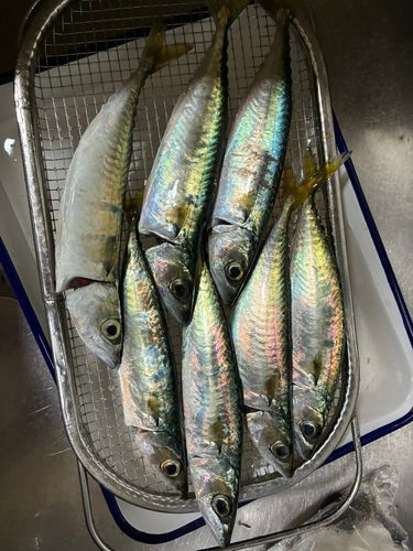 大津漁港