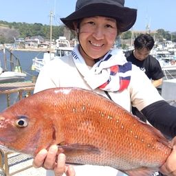 マダイ