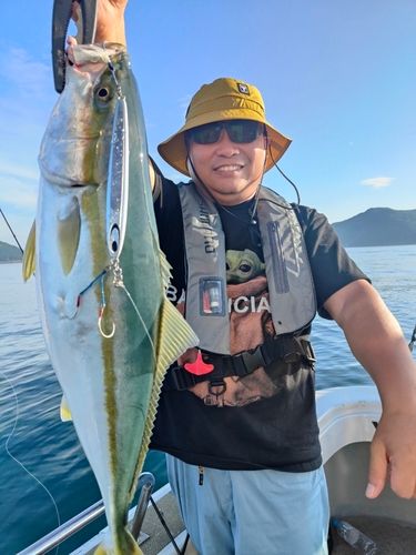 ハマチの釣果