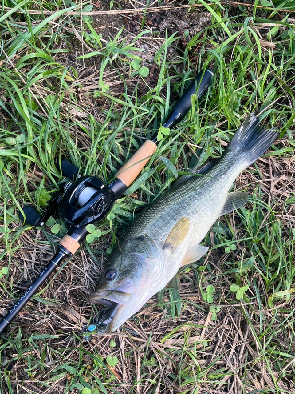 SHIMANO 22エクスプライド 165ML-Gの最安値・インプレ・釣果 | 本音の