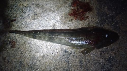小名浜港アクアマリンふくしま周辺