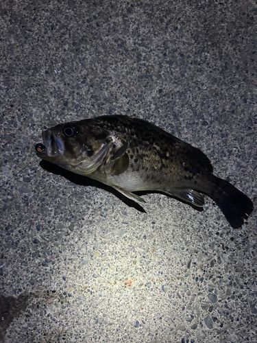 石狩湾新港