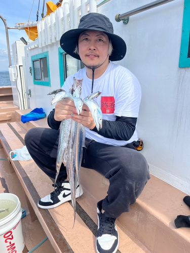 タチウオの釣果
