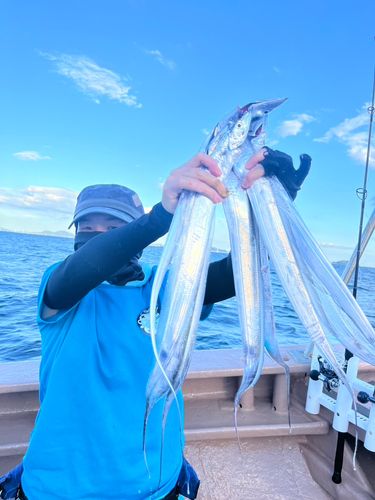 タチウオの釣果