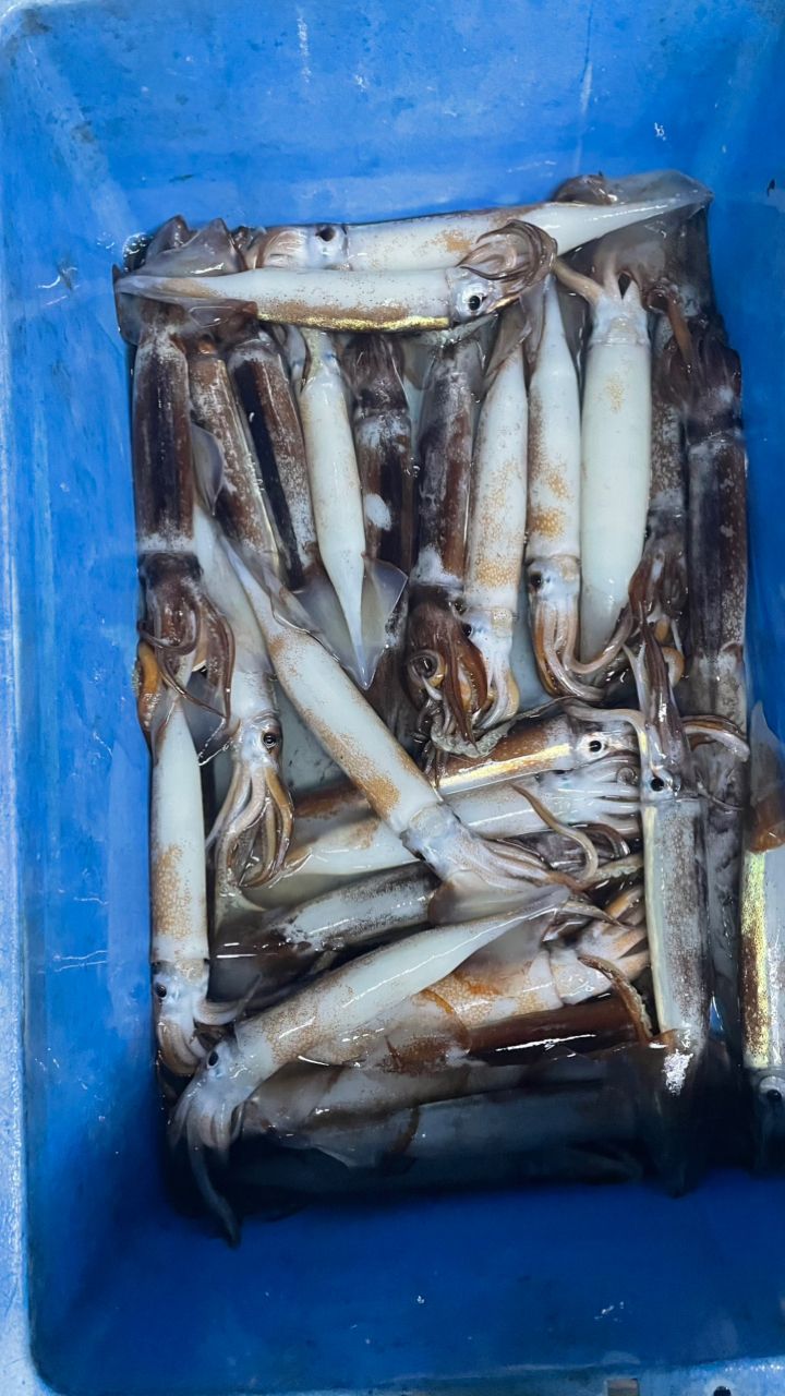 ANGLERSリサさんの釣果 3枚目の画像