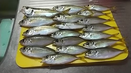豊浜漁港
