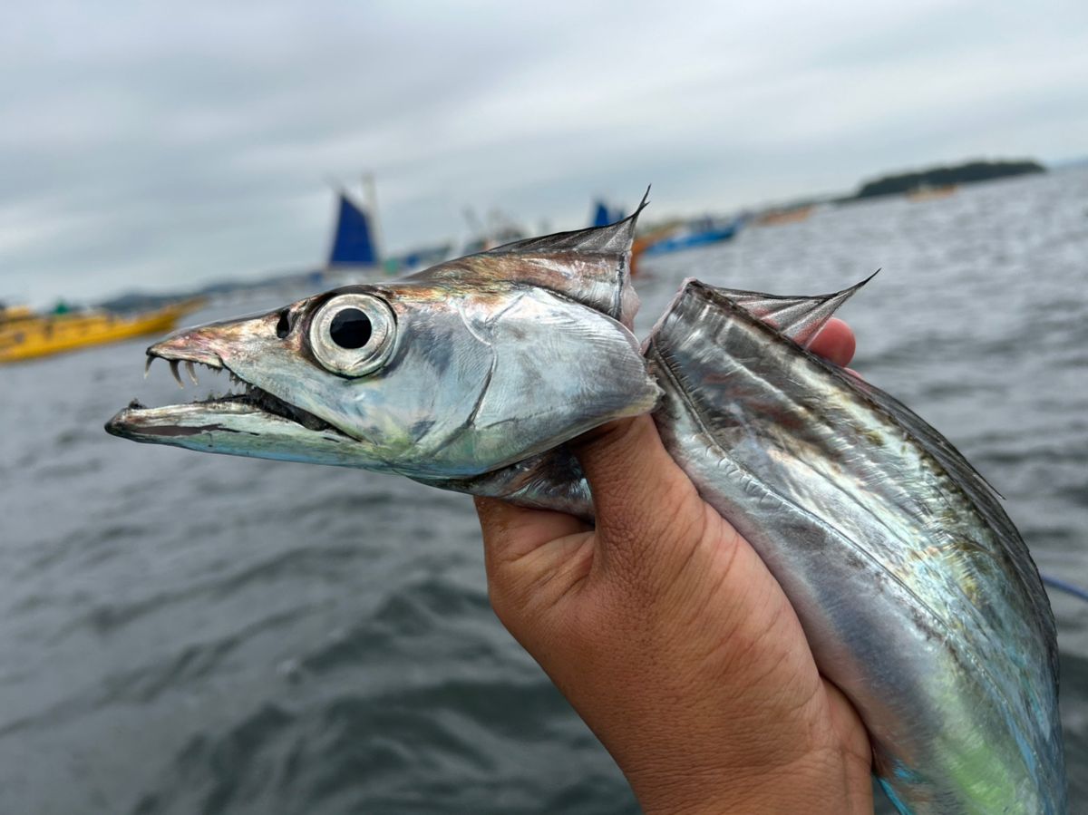 みき0110さんの釣果 2枚目の画像