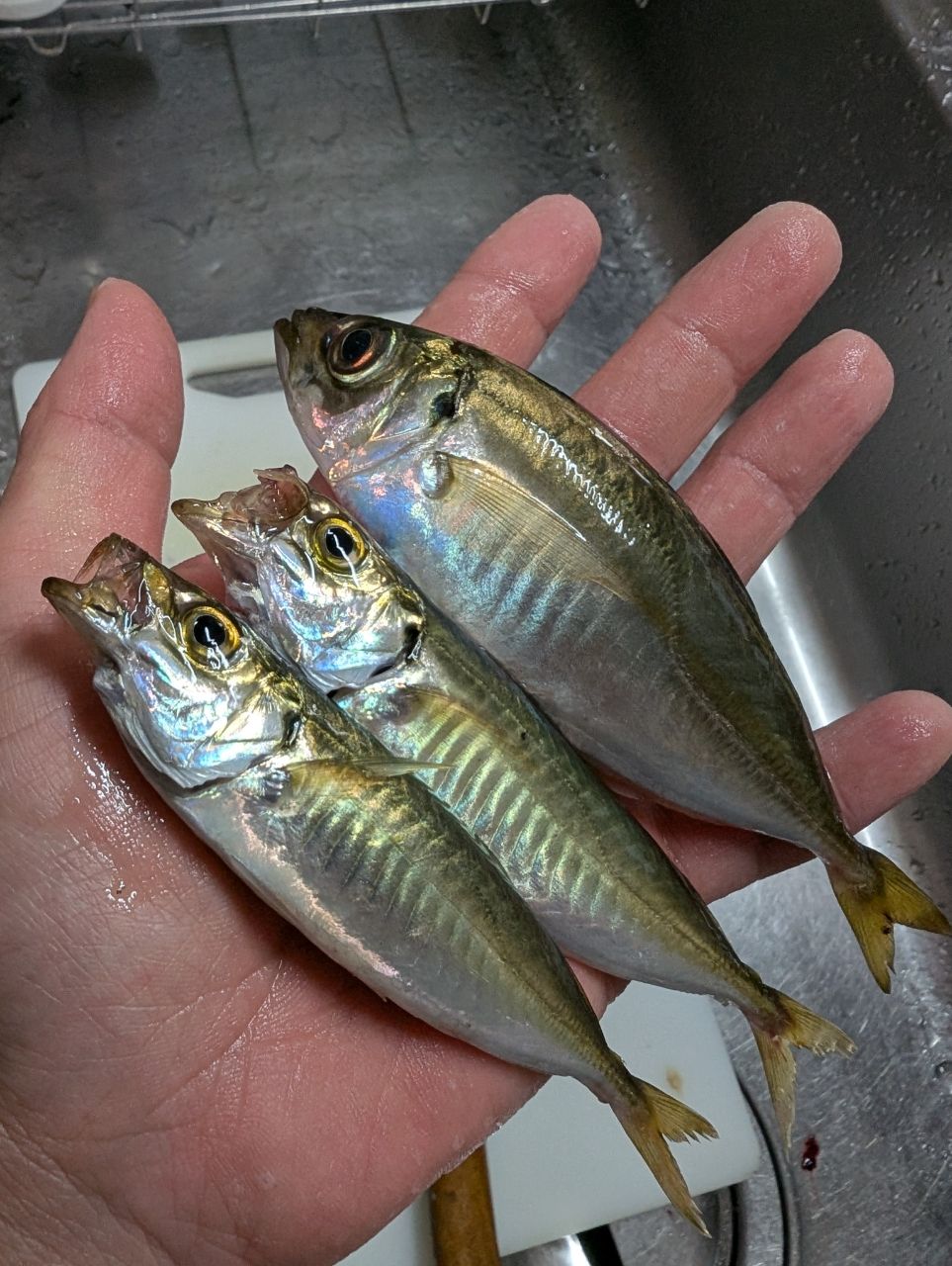 アジ