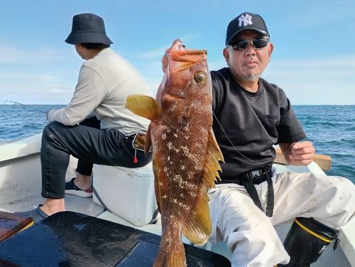 キジハタの釣果