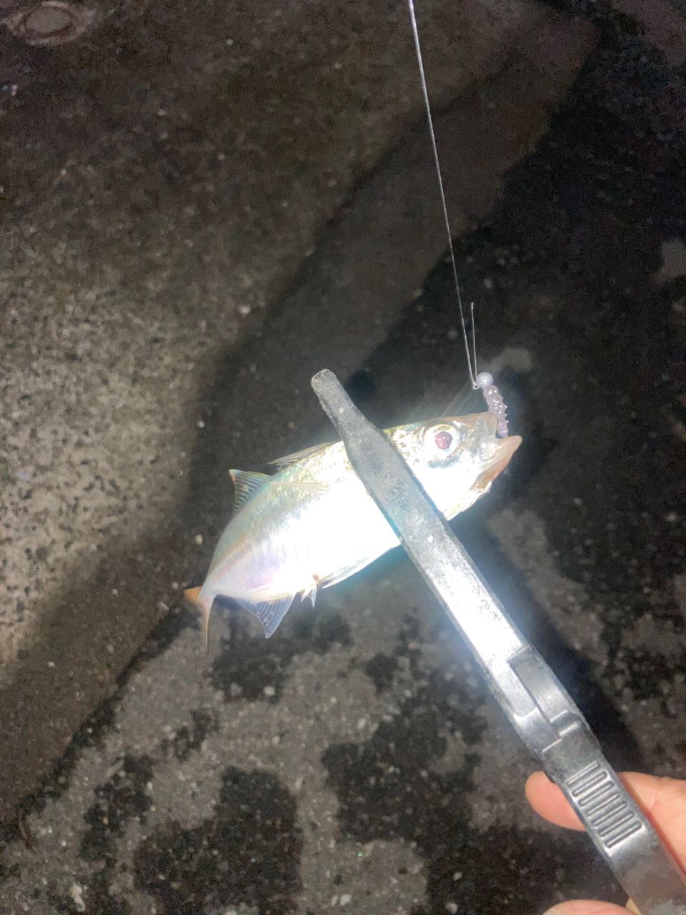アジ