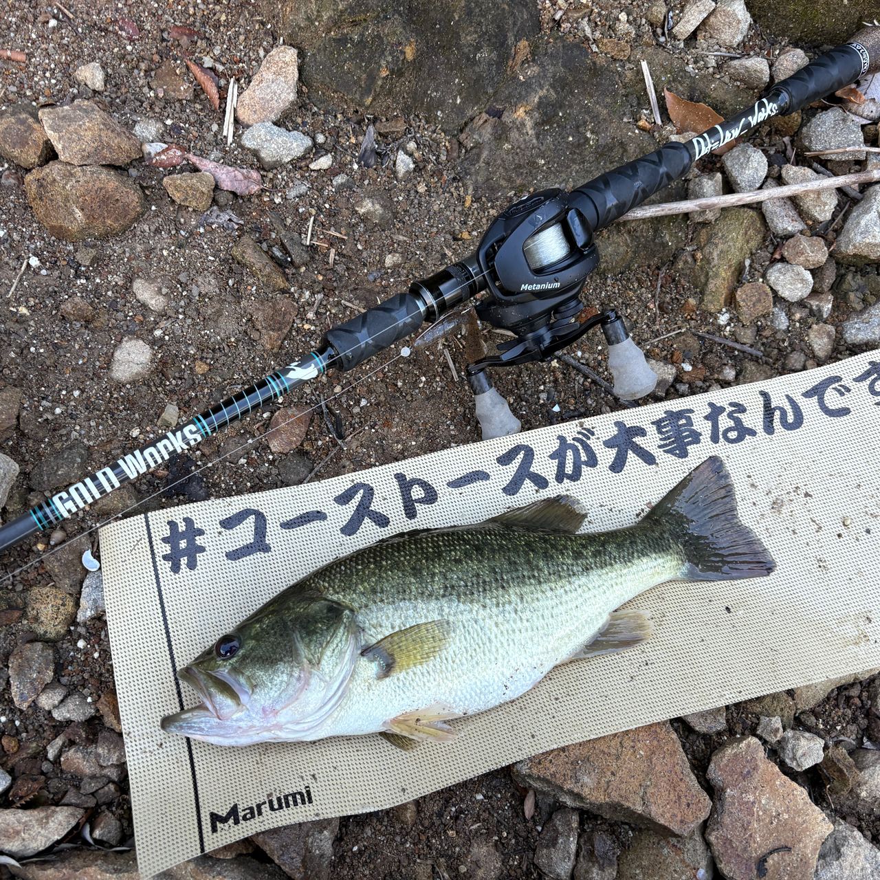 ブラックバス