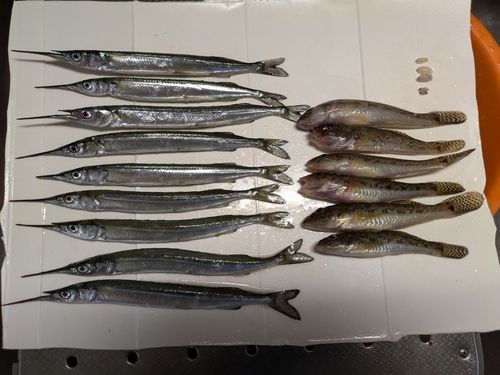 伊勢湾湾奥