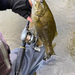 スモールマウスバス