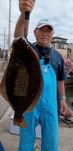 ヒラメの釣果