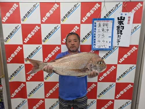 タイの釣果