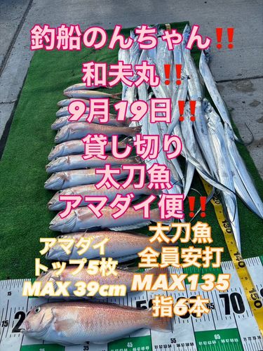 シロアマダイの釣果