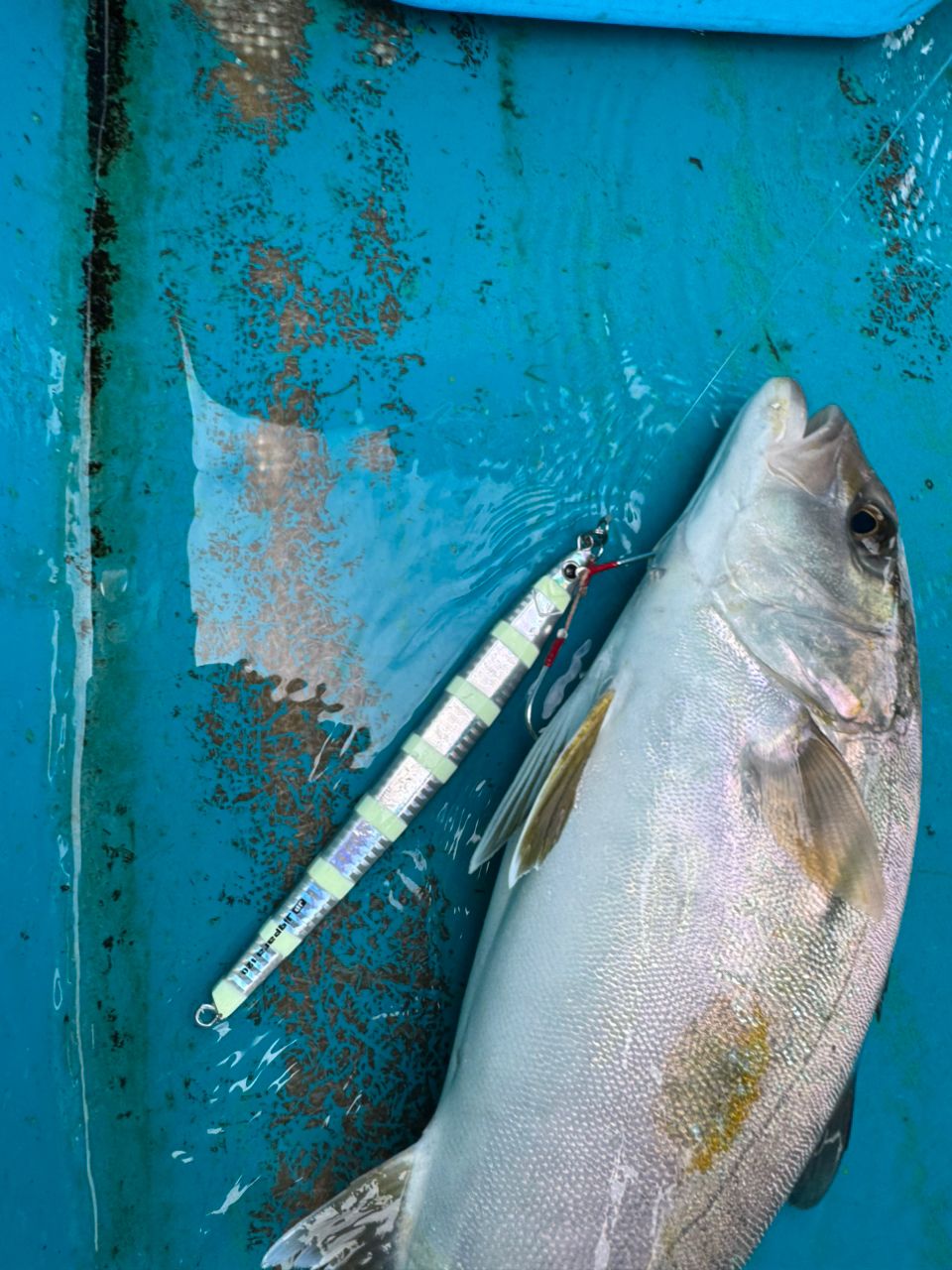 清和丸さんの釣果 2枚目の画像